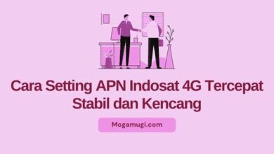 apn indosat anti lag