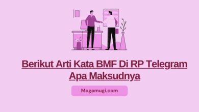 arti kata bmf di rp telegram apa maksudnya