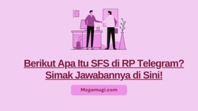 arti sfs di rp telegram apa sih ini makna lengkapnya