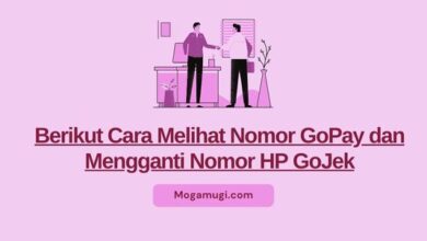 cara cek akun gopay