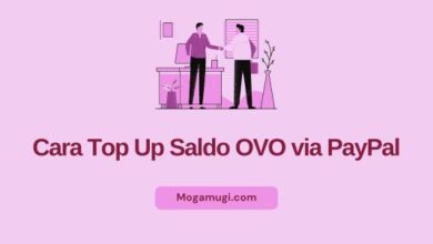 ovo paypal