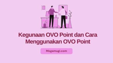 1 ovo point berapa rupiah