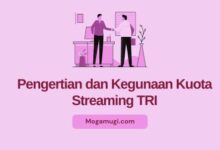 apa itu kuota streaming