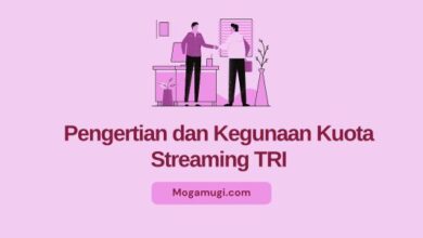 apa itu kuota streaming