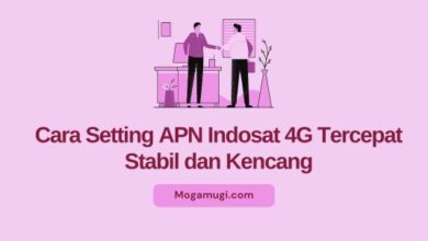 apn 4g indosat