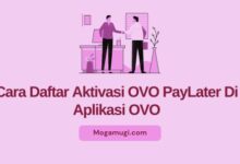 beli hp pakai ovo paylater