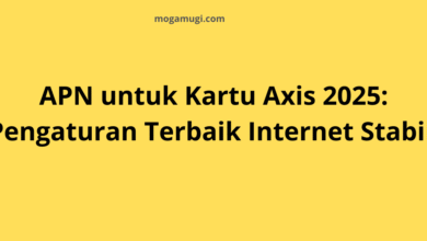 APN untuk Kartu Axis 2025: Pengaturan Terbaik Internet Stabil