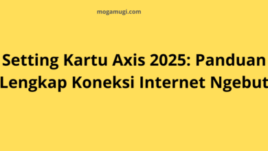 VPN Axis Unlimited: Solusi Internetan Aman dan Bebas Akses