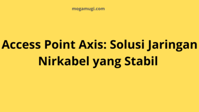 Access Point Axis: Solusi Jaringan Nirkabel yang Stabil