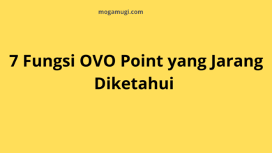 7 Fungsi OVO Point yang Jarang Diketahui Penggunanya