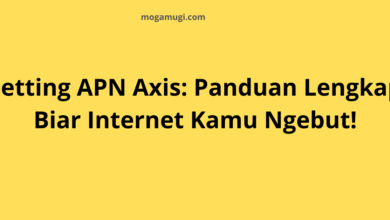 Setting APN Axis 2025: Panduan Lengkap Biar Internet Kamu Ngebut!
