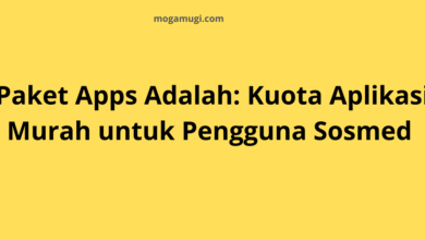 Paket Apps Adalah: Kuota Aplikasi Murah untuk Pengguna Sosmed