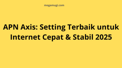 APN Axis: Setting Terbaik untuk Internet Cepat & Stabil 2025
