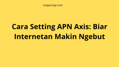 Cara Setting APN Axis: Biar Internetan Makin Ngebut