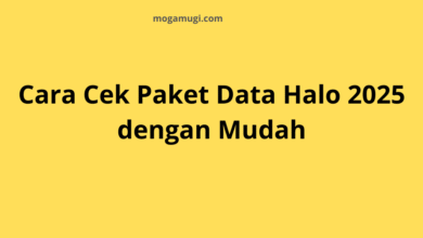 cara cek paket data halo