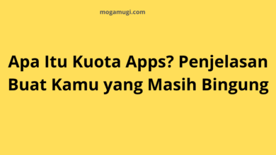apa itu kuota apps