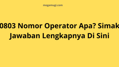 0803 Nomor Operator Apa?