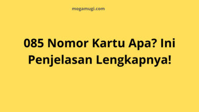 085 Nomor Kartu Apa? Ini Penjelasan Lengkapnya!