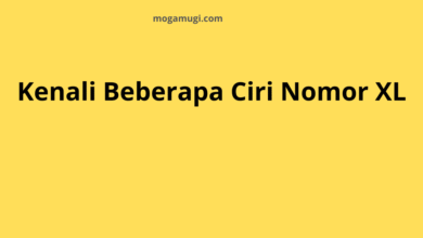 Kenali Beberapa Ciri Nomor XL