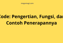 Code: Pengertian, Fungsi, dan Contoh Penerapannya