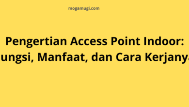 pengertian access point indoor