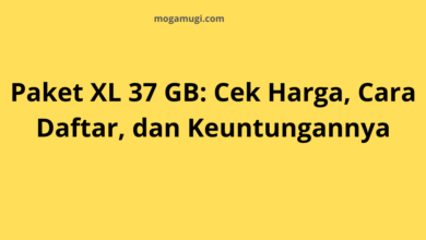 Paket XL 37 GB: Cek Harga, Cara Daftar, dan Keuntungannya