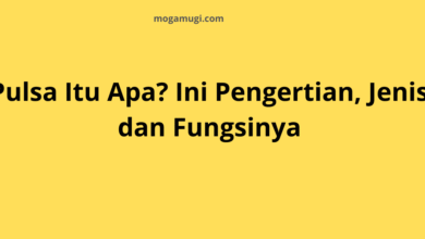 Pulsa Itu Apa? Ini Pengertian, Jenis, dan Fungsinya yang Perlu Kamu Tahu