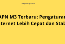 APN M3 Terbaru: Pengaturan Internet Lebih Cepat dan Stabil