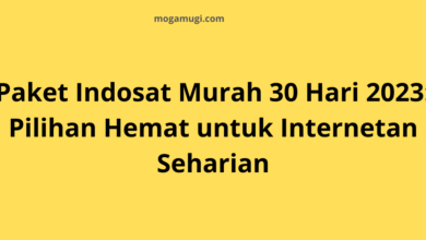 Paket Indosat Murah 30 Hari 2023: Pilihan Hemat untuk Internetan Seharian