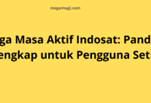 Harga Masa Aktif Indosat: Panduan untuk Pengguna Setia