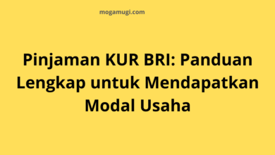 Pinjaman KUR BRI: Panduan Lengkap untuk Mendapatkan Modal Usaha