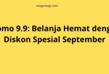 Cara Mendapatkan Promo 9.9 dengan Mudah dan Hemat