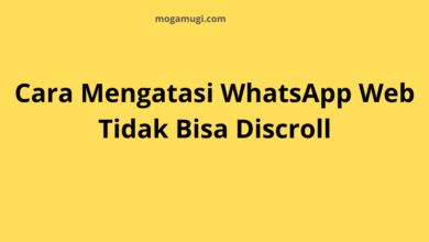 Cara Mengatasi WhatsApp Web Tidak Bisa Discroll