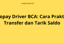 Gopay Driver BCA: Cara Praktis Transfer dan Tarik Saldo