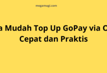 Cara Mudah Top Up GoPay via OVO, Cepat dan Praktis