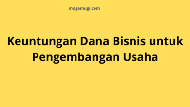 Keuntungan Dana Bisnis untuk Pengembangan Usaha