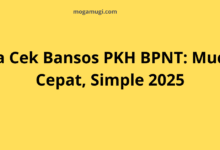 Cara Cek Bansos PKH BPNT: Mudah, Cepat, Simple 2025