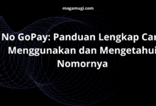 no gopay