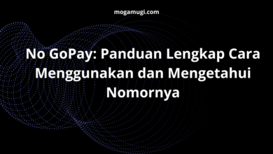 no gopay