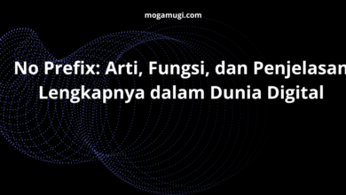 No Prefix: Arti, Fungsi, dan Penjelasan Lengkapnya dalam Dunia Digital