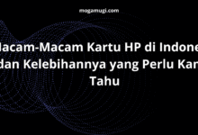 Macam Macam Kartu HP di Indonesia dan Kelebihannya yang Perlu Kamu Tahu