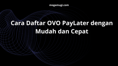 Cara Daftar OVO PayLater dengan Mudah dan Cepat
