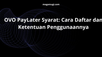 OVO PayLater Syarat: Cara Daftar dan Ketentuan Penggunaannya