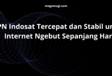 APN Indosat Tercepat dan Stabil untuk Internet Ngebut Sepanjang Hari