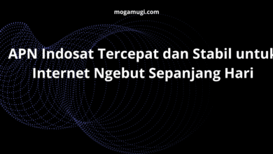 APN Indosat Tercepat dan Stabil untuk Internet Ngebut Sepanjang Hari
