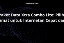 Paket Data Xtra Combo Lite: Pilihan Hemat untuk Internetan Cepat dari XL