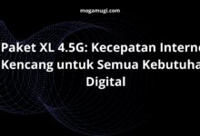 paket xl 4.5g