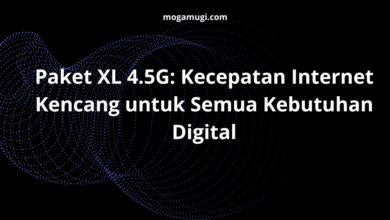 paket xl 4.5g