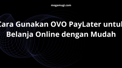 Cara Gunakan OVO PayLater untuk Belanja Online dengan Mudah
