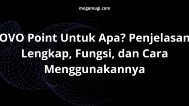 OVO Point Untuk Apa? Penjelasan Lengkap, Fungsi, dan Cara Menggunakannya